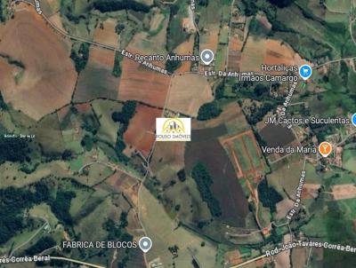 Fazenda para Venda, em Pouso Alegre, bairro �rea Rural de Pouso Alegre - Anhumas